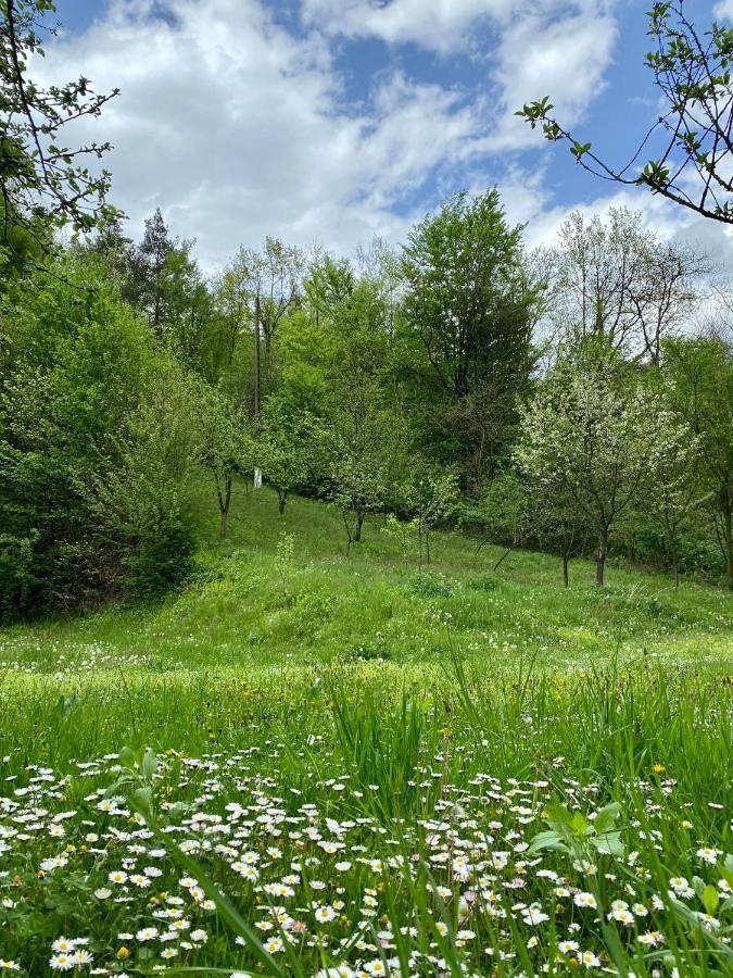 Bed and Breakfast House In The Woods Решіца Екстер'єр фото