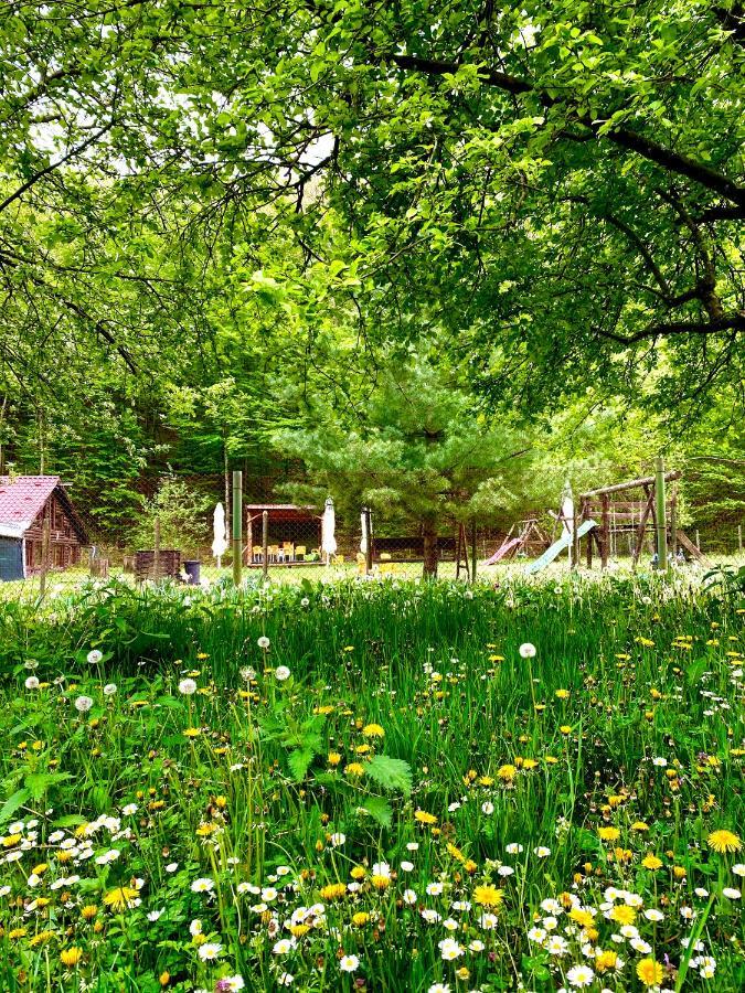 Bed and Breakfast House In The Woods Решіца Екстер'єр фото