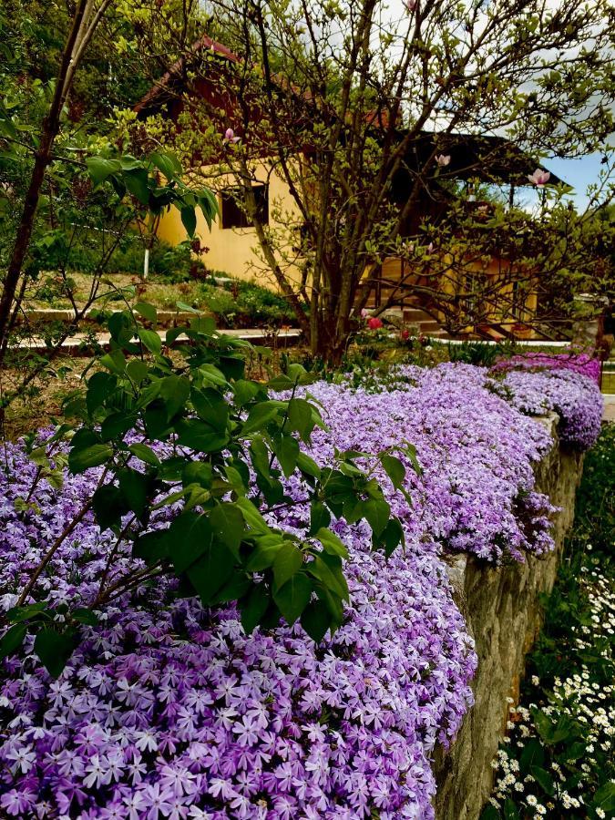 Bed and Breakfast House In The Woods Решіца Екстер'єр фото