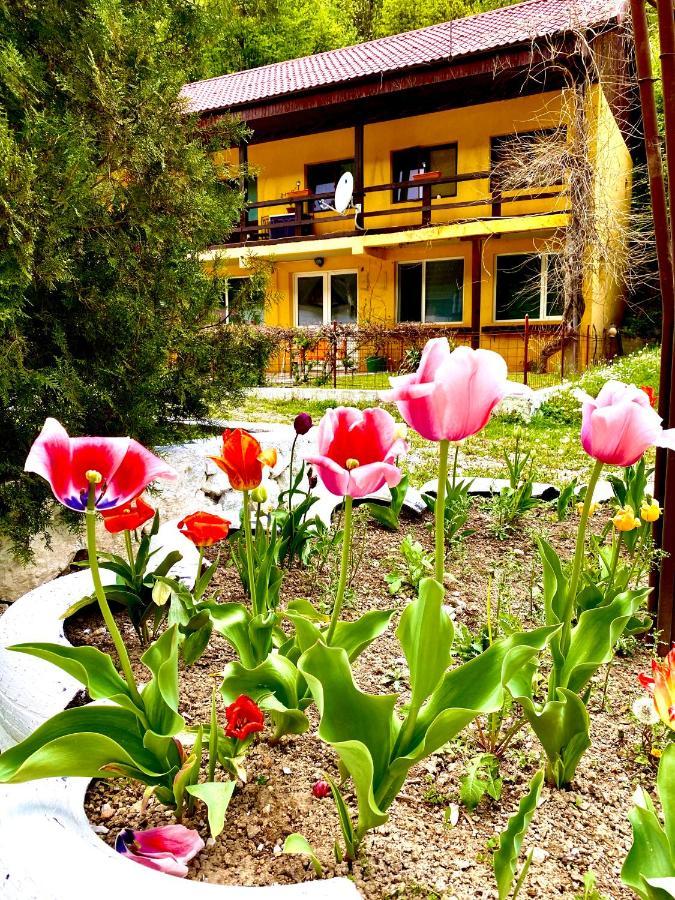 Bed and Breakfast House In The Woods Решіца Екстер'єр фото