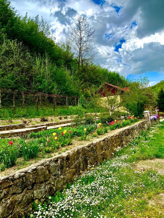 Bed and Breakfast House In The Woods Решіца Екстер'єр фото