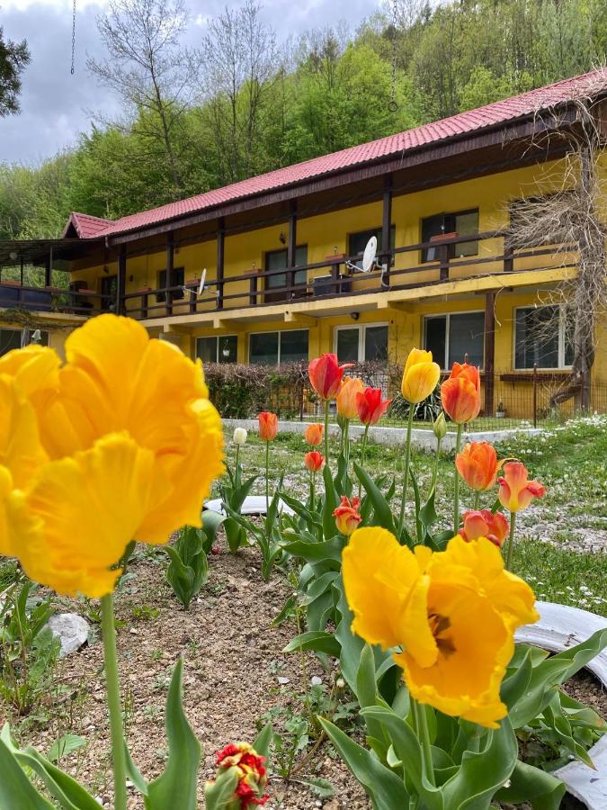 Bed and Breakfast House In The Woods Решіца Екстер'єр фото