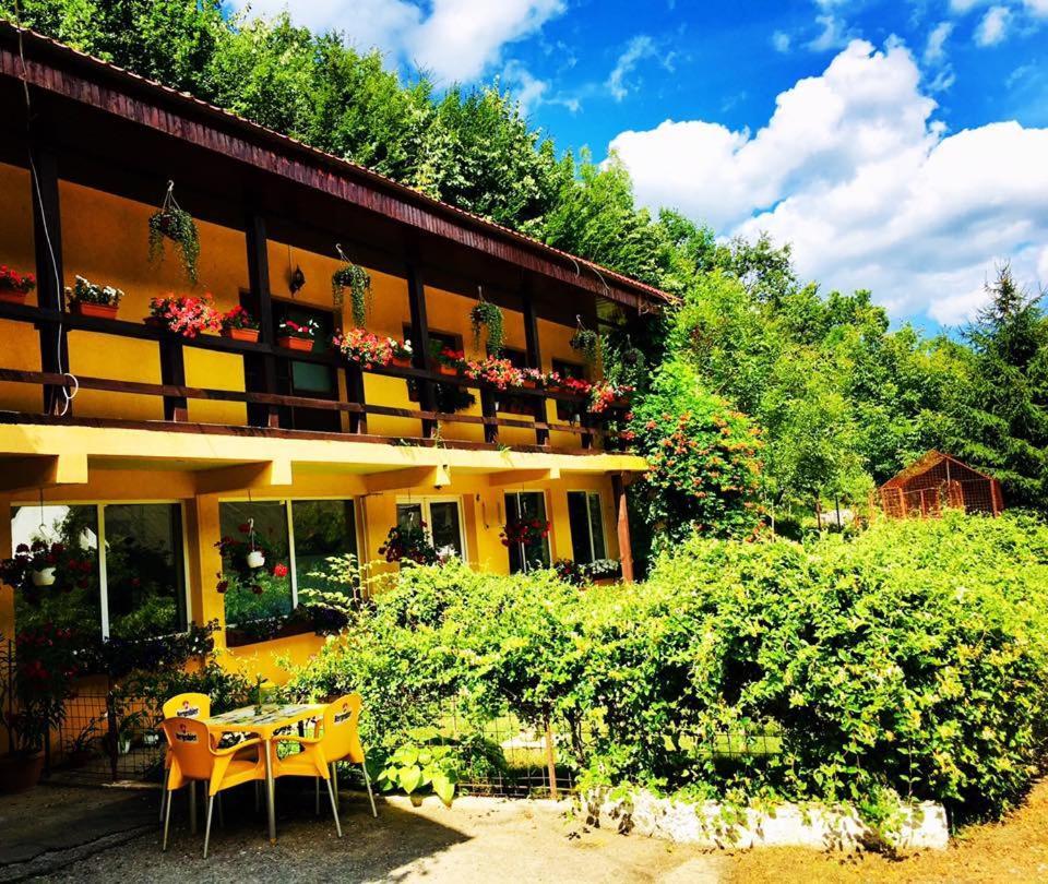 Bed and Breakfast House In The Woods Решіца Екстер'єр фото
