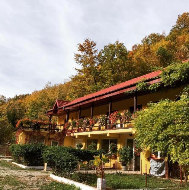 Bed and Breakfast House In The Woods Решіца Екстер'єр фото