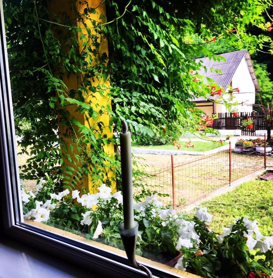 Bed and Breakfast House In The Woods Решіца Екстер'єр фото