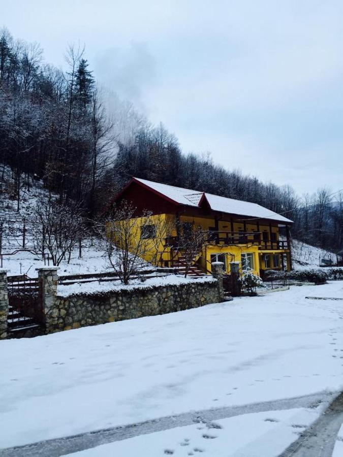 Bed and Breakfast House In The Woods Решіца Екстер'єр фото