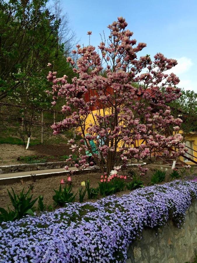 Bed and Breakfast House In The Woods Решіца Екстер'єр фото