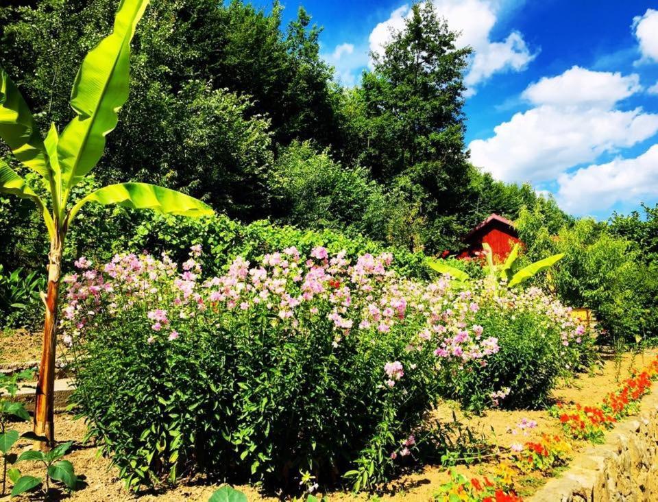 Bed and Breakfast House In The Woods Решіца Екстер'єр фото